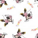 Mickey & Minnie Col. 103 - Due June/July